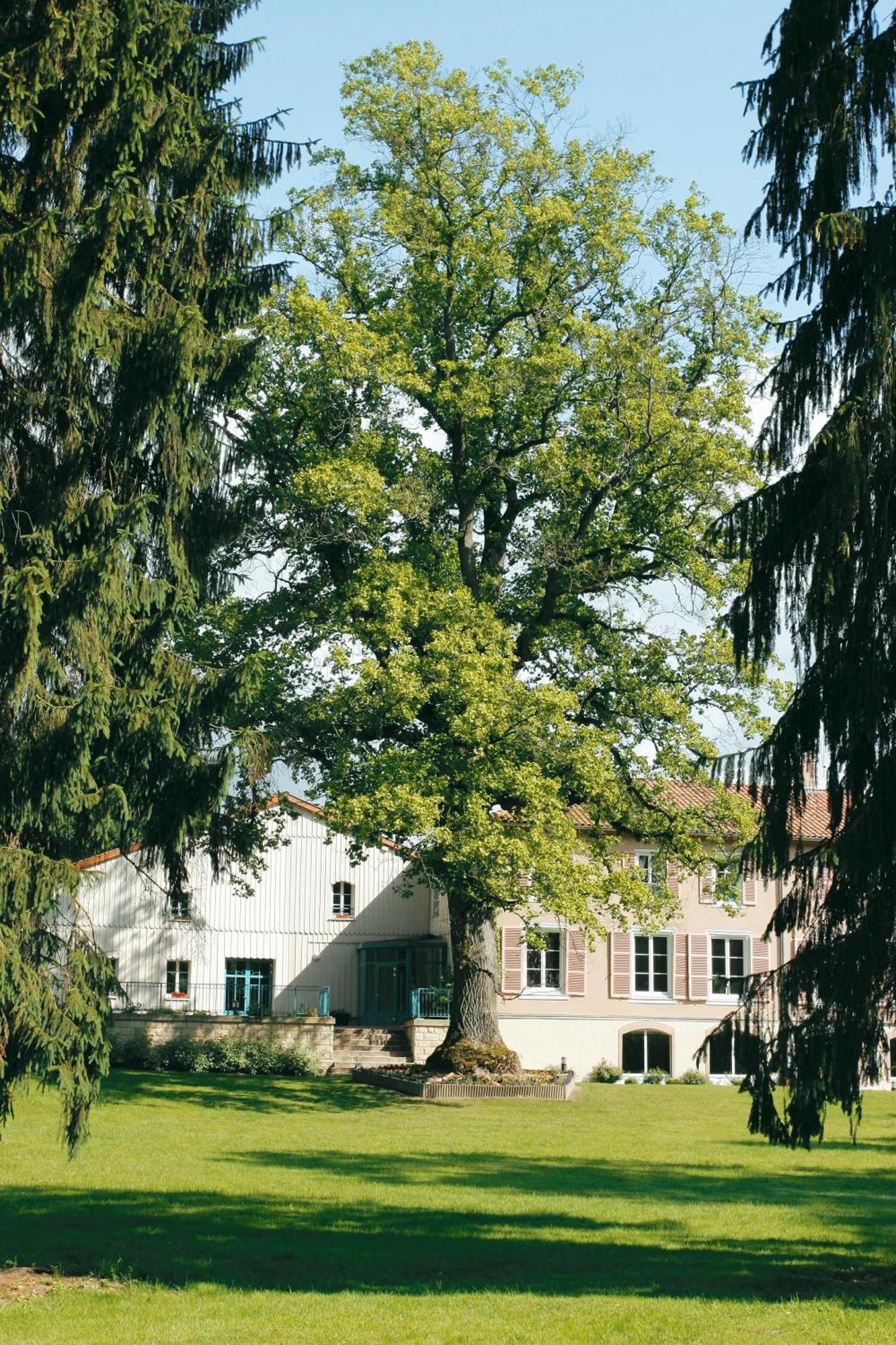 Logis Hotel - Restaurant Le Tulipier Vienne-le-Château Pokój zdjęcie